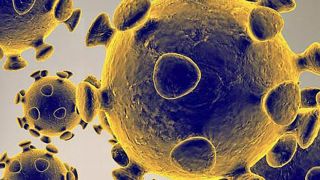 OMS eleva ameaça internacional do novo coronavírus para "muito elevada"