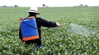 Ministério da Agricultura publica registro de 16 defensivos agrícolas