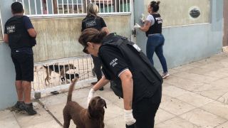 Homem que tinha animais congelados dentro de casa em Imbé é indiciado por maus tratos