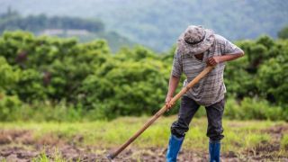 Coronavírus: Falta de estrutura deixa agricultores em risco