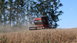 A lida no campo não para