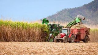 Produtores rurais se preparam para diminuir riscos por conta da pandemia