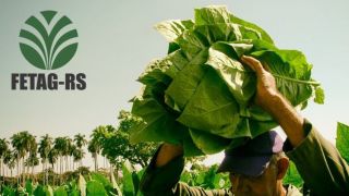 ATENÇÃO: FETAG - RS não orienta que os agricultores peçam o auxílio emergencial