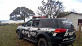 Operação Coxilha combate crimes de abigeato em Amaral Ferrador