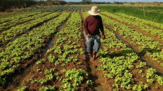 Bolsonaro exalta agricultores: ‘Se param, falta comida na cidade’