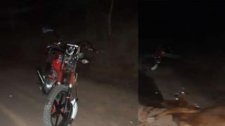 FOTOS: Motociclista bate em vaca e fica gravemente ferido no interior de São Jerônimo