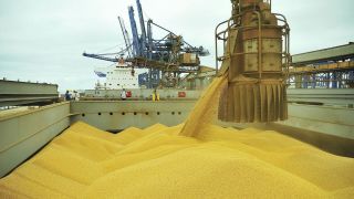 Exportação de soja do Brasil atinge recorde de 16,3 milhões de toneladas em abril, diz governo