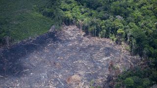 Bolsonaro autoriza envio de tropas das Forças Armadas para combater focos de incêndio e desmatamento na Amazônia Legal