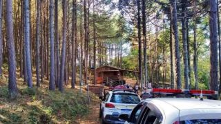 Criminoso envolvido em assalto a banco em Dom Feliciano é preso em Flores da Cunha