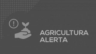 Secretaria da Agricultura do RS faz alerta para prefeituras e produtores rurais