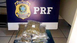 PRF flagra transporte de skunk ao perseguir e abordar veículo na BR 101, em Osório