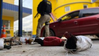 Veterinário é preso vendendo galos para rinhas
