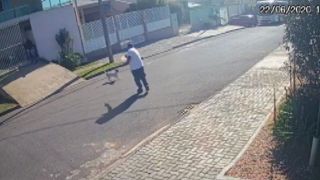 Homem é suspeito de matar cachorro com tiro em Fazenda Rio Grande