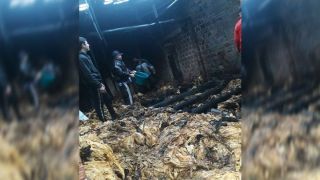 Raio provocou incêndio que queimou fumo de produtor em Garambéu