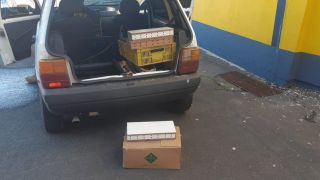 Homem é preso por transportar pássaros silvestres em caixas de leite na BR-290, em Porto Alegre