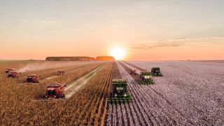Qual é o futuro do agronegócio?
