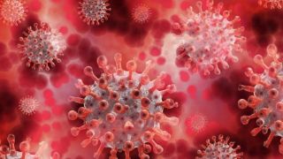 Coronavírus faz "camuflagem" para enganar sistema imunológico