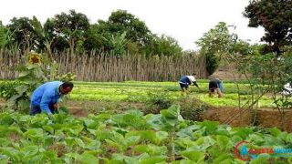 Dia do Agricultor: amor e reconhecimento