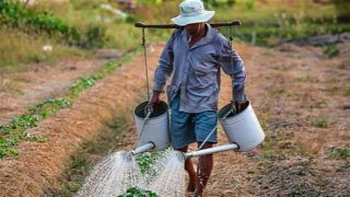 Covid-19 pode comprometer alimentação da América Latina