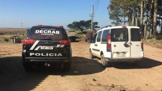 Homem que matou filhotes de cachorros vai responder por crime