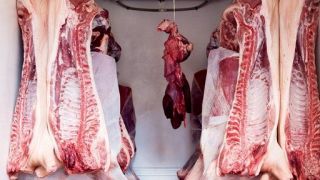 Crescimento nas exportações de carne bovina