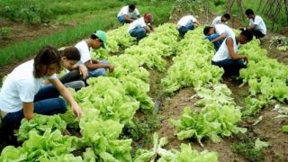 Seapdr publica edital de chamamento do programa de juventude rural