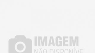 E-Título: veja como baixar, atualizar e utilizar aplicativo nas eleições
