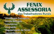 🌟 FENIX ASSESSORIA 🌟