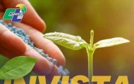 🍃 CT JANOVIK 🍃